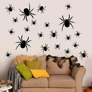 EH[XebJ[ nEB  XpC_[ w S \t  Ǒ PVC hH Cxg p[eB[ X ~ rO Q ͋Co fR[VV[