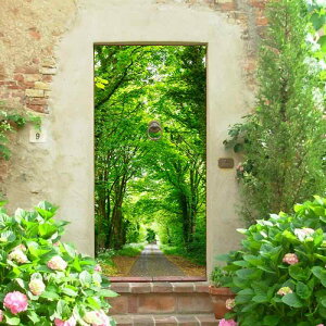 EH[XebJ[ ǎV[ CNV[g Xѕ A 3D ̃fUC ① hA N[[bg Ƌ rO Lb`  Q ȔS h hJr h ͗lւ _ V