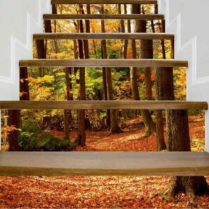 EH[XebJ[ H̐X̕i  CeA \Ĕ S h h hJr KiV[g rO Q ǎV[ PVC fR[V