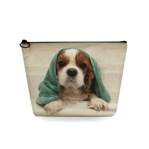 |[` jp gx|[` RX|[` ʗp|[` y RpNg t@Xi[J LoA  lf s ig [ 