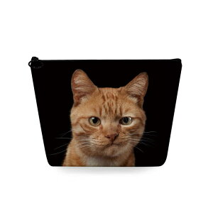 σ|[` n L lf |[^u RpNg CN[ RX|[` sp ʗp |[` fC[[X [