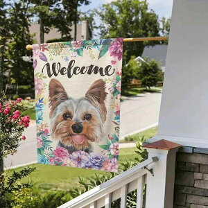  S[fgo[  K[ftbO O   CeA   |GXe t 킢