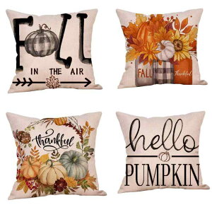 NbVJo[ 4Zbg H Ӎ TNXMrO  la J{` ~W  q}  ԕr At@xbg 45×45cm rO CeA  k  F(x2)