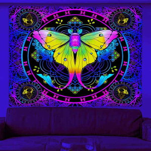 ^yXg[ u X OubNCgΉ Ǌ| |GXe {w~A  􉽊w͗l ` rO Q  EH[A[g kCeA