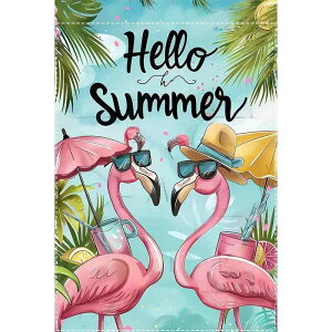 K[ftbO t~SfUC f t EFJbZ[W O    Ő GNXeA G߂̑ 뉀fR[V(x2)