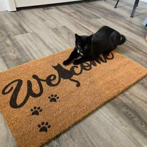 փ}bg EFJ L̑Օ RRV@ VRf p  ƒp X ItBX DƂ z  킢(x2)