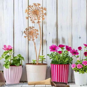 Ǐ EH[fR  ^|| K[fIuWF AeB[N Jg[ XeB[J[  rO   CeA fBXvC