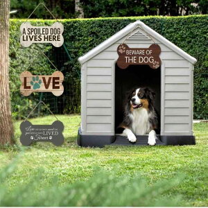 Ǐ Ǌ| ؐ EH[fR[V  CeA TC{[h Ebhv[g AJJg[ rO  Q _CjO q Xܗp G A[gpl