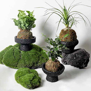 t[x[X k NGCeBu  _ Rt  Ԋ Zg RN[g  u CeA  rO  ItBX ƒp ϋv