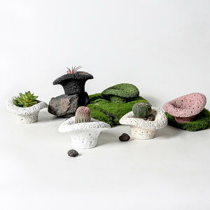 植木鉢 コンクリート製 ミニ 穴なし 卓上 ストーン調 北欧風 家庭用 ガーデニング 観葉植物 多肉植物 サボテン 胡蝶蘭 プランター 通気性 高耐久 インテリア ブラック ホワイト グレー