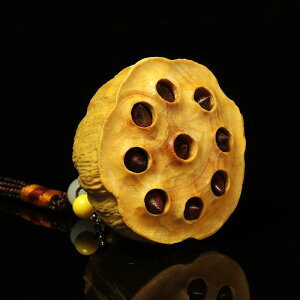 kؒ ؐ ԓ J[`[ [^X`[t @q y_g 莝  CeA  N J^ObY