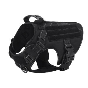 p [VXe AEghA ԍF ^NeBJ g[jO Up 1000D xf ϋv Ppn[lX ubN ^ ^ ^