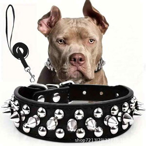 p  pNX^C X^bY tFCNU[   ig U ^ ^ ^ ubN bh sN p[v Cgu[