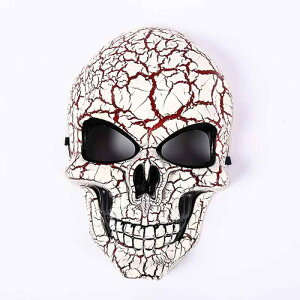 }XN XJ hN z[ nEBp[eB[ ]r  RXv 蕨 ttFCX vX`bN  ObY Cxg (x2)