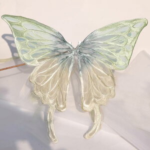  fB[X  Õ h?  _uC[ `[ 傫 wANbv 񂴂 ܂Ƃߔ Bep