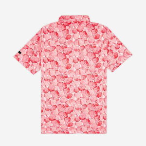 |Vc Y jp StEFA  z |GXe ԕ X|[c g[jO jO TCNO AEghA K t