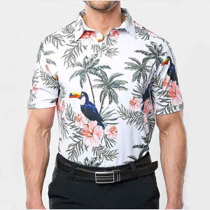 |Vc Y jp StEFA X|[cEFA ڐG⊴  z Lk |GXe  N[ K jO TCNO oR ނ ejX t