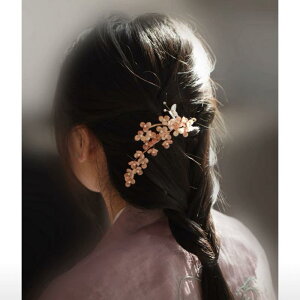  LbY qp  KX t[`[t Of[V IWF Ȃ₩ i  a  `CihX H~ wAANZT[