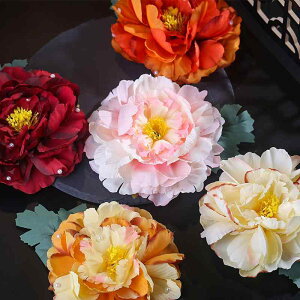   {앗 g wANbv 傫ȑ O o t[ z nhCh I ؂₩  \ TChNbv Cxg RXv o(x2)