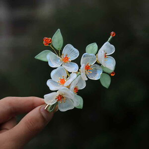 wANbv q ̎q a g Õ   t[`[t 킢 XC[g KX׍H nhCh Cxg \  2Zbg(x2)