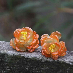  q ̎q Us 񂴂 a R[ u  t[`[t  a   ig fC[[X  킢 (x2)