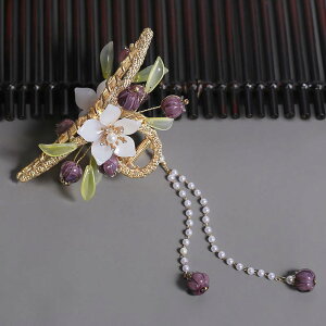 oXNbv fB[X XY t[`[t O^bZ p[ F p[v   i Vv tF~j ig fC[ wAANZT[ 