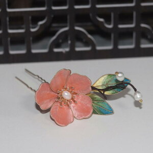  fB[X ؕ `H| xxbgԍ׍H ԂO p[   EFfBO  l Ǝ a   wAANZT[(x2)