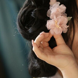   VNN  wANbv  a ÓT  GKg i ؂₩ |GXe sNn TChNbv Cxg ig