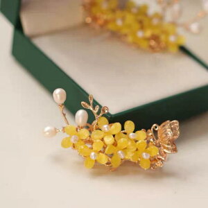 wANbv LbY ؍ t[`[t  yA TChNbv tFA[ K[[ NVbN g ^ 炵 a_ ig fC[[X 