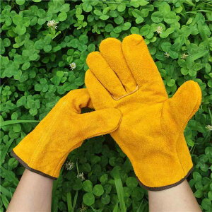 O[u wv nڍƗp fM ϔM R S XG[h hCo[O[u Ɨp ی ^ eiX(x2)