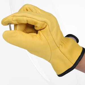 nڃO[u rv \tg _炩 ϔM fM ϖ ʋC 쐫 TIGn ASn nڍ eiX vp 