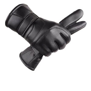  Y jp ~p oCN I[goC CfBO O[u v U[ h h ۉ  N X}zΉ ^b`plΉ ~