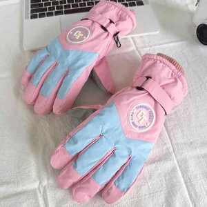 スキーグローブ レディース 女性用 5本指 裏起毛 防風 防水 滑り止め 防寒 保温 冬用 アウトドア 登山 サイクリング スマホ対応 黒 白 ピンク 青 ポリエステル製 おしゃれ