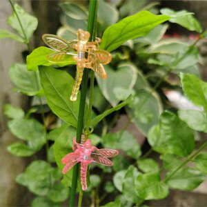 |Nbv Ap vX`bN Ӓ ϗtA A Œ ږ U g{^ 킢 F K[fjO  x