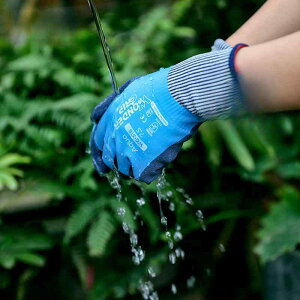  K[fjOO[u |p d A ԐA A ƒ؉ @\ Ɨp  ϖ ~ hh h h H~  sN u[