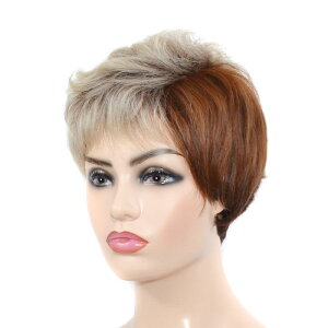 EBbO fB[X ĕ V[g J[ {u ϔMt@Co[ R uE zCg Of[V O   ig p