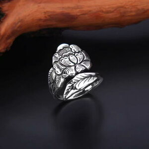 w fB[X Vo[J[ Ỏ t[ I[vO  g GXjbN  I t[TCY f  j[NfUC(x2)