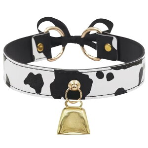 `[J[ fB[X p { x PUU[ lbNX 킢 Â K[[X^C  t S[h Vo[   JWA t@bV