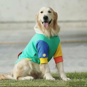  ^ ^ uh[ S[fgo[ Č H~p p[J[ XEFbg |GXe C{[ h ۉ O[ p[v