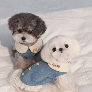 ybg s[X Lp ^p t  |GXe ݕt hJ u[ hbOEFA LbgEFA JWA U