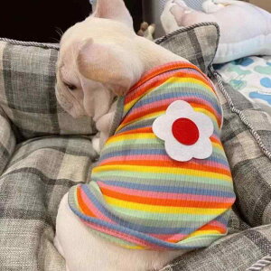  hbOEFA ^ ^ t`uhbO pO uhbO tėp  y xXg ^Ngbv |GXe 킢 ԕ