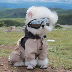 ���p���C���R�[�g ���^�� �l���^�C�v �S�g�J�o�[ �h�� �h�� �h�� �H�~ �h�b�O�E�F�A �A�E�g�h�A ���U�� �J�� �J�b�p �|���G�X�e�� �J�[�L �U���p �ȒP���E