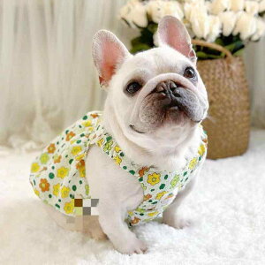 ps[X t`uhbO uhbO pO Z ۂ茢   ڐG⊴ ^Ngbv o[ OFԕ |GXe