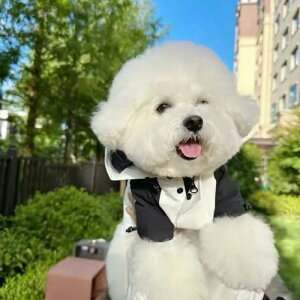 hbOEFA Lp H~ EChu[J[ h ۉ  |GXe p_ gCv[h rVt[[ ViEU[ t`uhbO