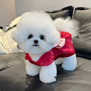 犬猫兼用 プリンセスドレス 春夏 光沢 シースルー リード穴付き 日よけ 紫外線対策 伸縮性 抜け毛防止 ポリエステル製 レッド アイボリー ピンク ペットウェア