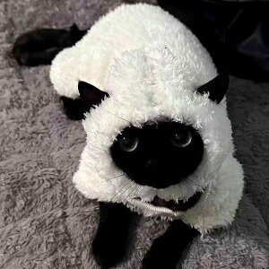 L XtBNX f{bNX єL H~  {A ۉ h lr I[C Ȃ Rbg |GXe 킢  ybgEFA