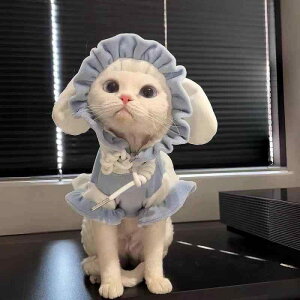  L efB rV }`[Y ^ H~ N XEFbg g[i[  fUC |GXe 킢 h  _[Nu[ Cgu[