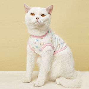 ybgEFA ^ Lp I[V[Y LN^[ 킢 Rbg xXg ^Ngbv U o i(x2)