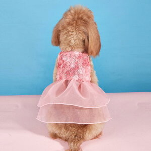 ドッグウェア 小型犬 テディ 猫用 かわいい オールシーズン お散歩 お出かけ キャミソール ワンピース メッシュ チュール ポリエステル ドレス ピンク レインボー(x2)