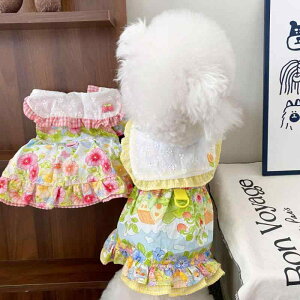 ybgEFA ݕt vZXhX  L t s[X tH[} 킢 |GXe u₩ [NV[eA rVt[[ hbOEFA LbgEFA o p[